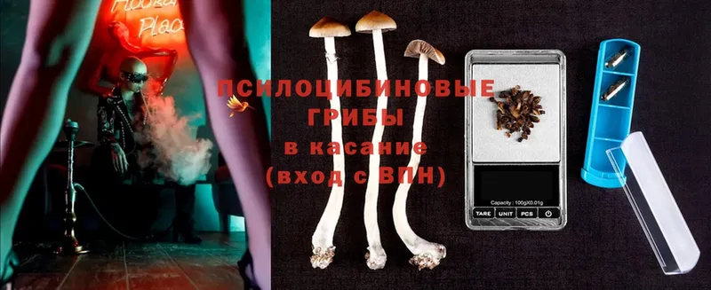 Галлюциногенные грибы Magic Shrooms  купить   Сокол 